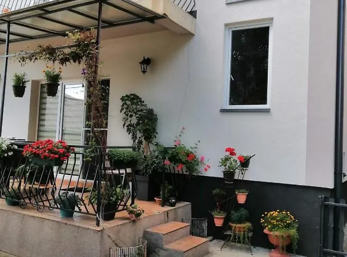 Mihajlovic Apartamento